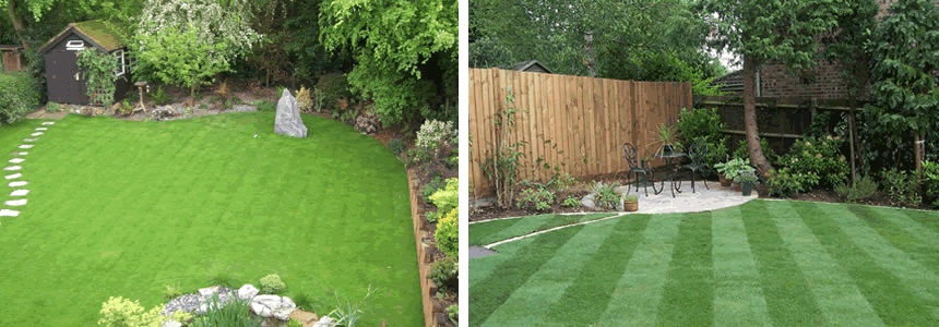 Garden Planting and New Lawns