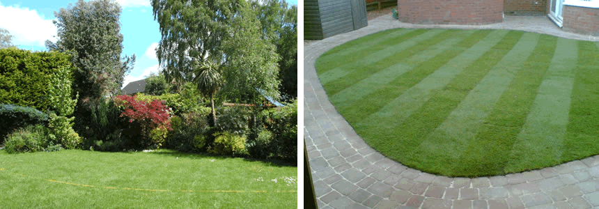 Garden Planting and New Lawns